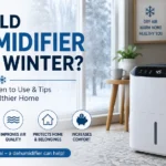 Should Dehumidifier Run In Winter