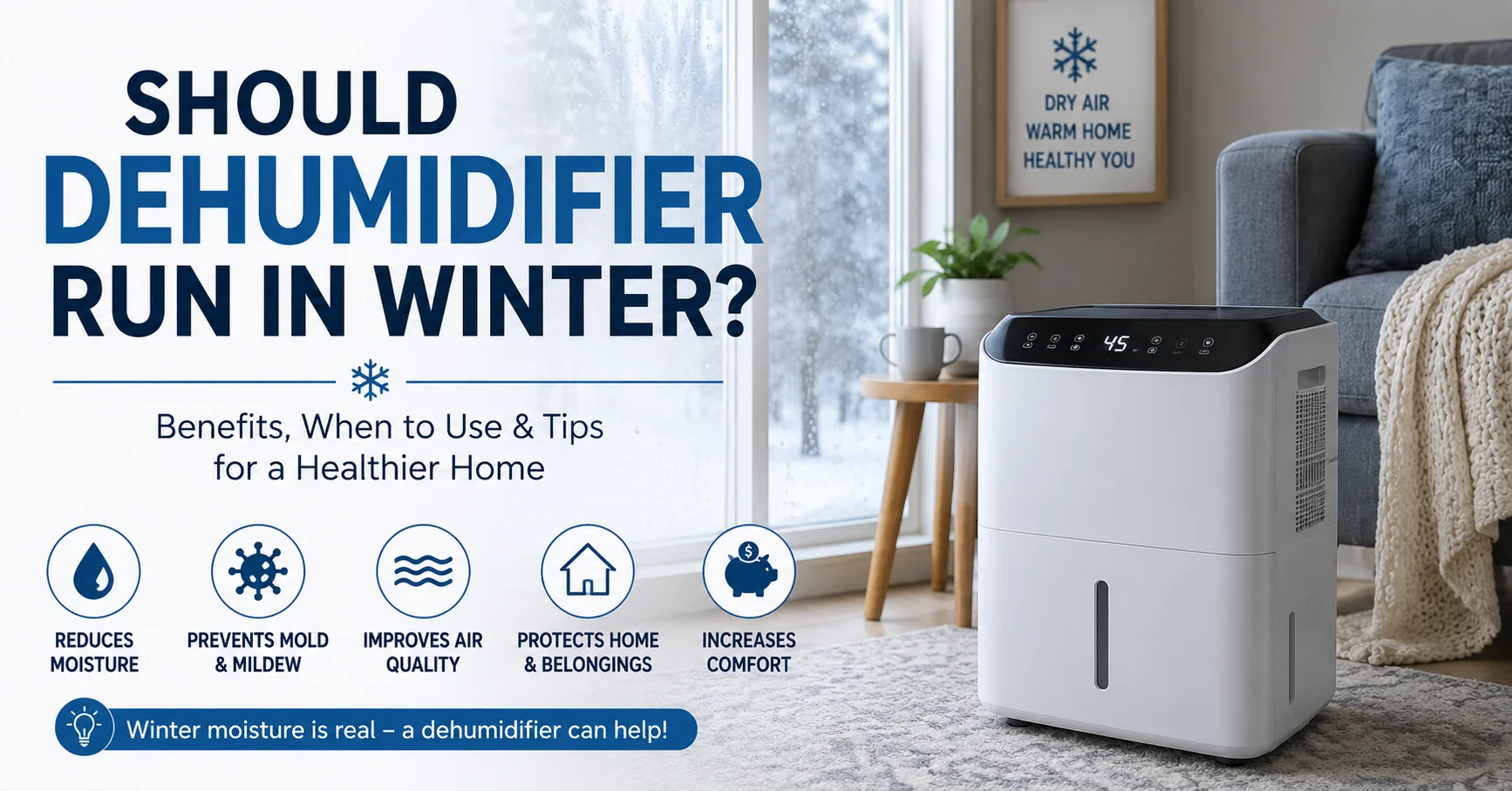 Should Dehumidifier Run In Winter