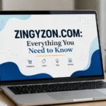 zingyzon. com